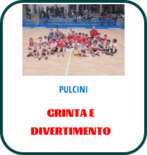 PULCINI GRINTA E DIVERTIMENTO
